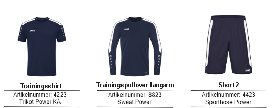 STV Herznach Vereinsset MTV