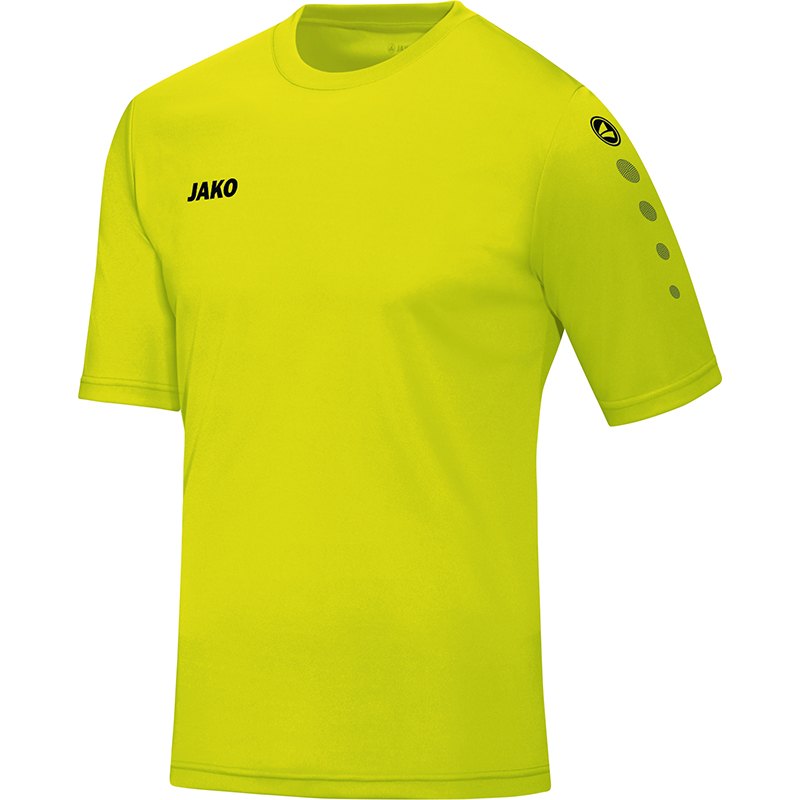 Trikot Team KA lime