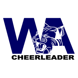 Wildcats Allstars