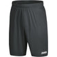 JAKO Sporthose Anderlecht 2.0 4403 Herren & Damen
